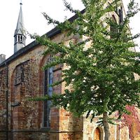 7000-Eichen-Volker-Schaefer-Ginkgo-Bruederkirche